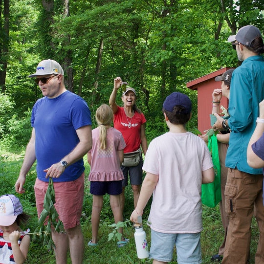 Spring Berries and Wild Edibles Opening Walk, Sunday May 24