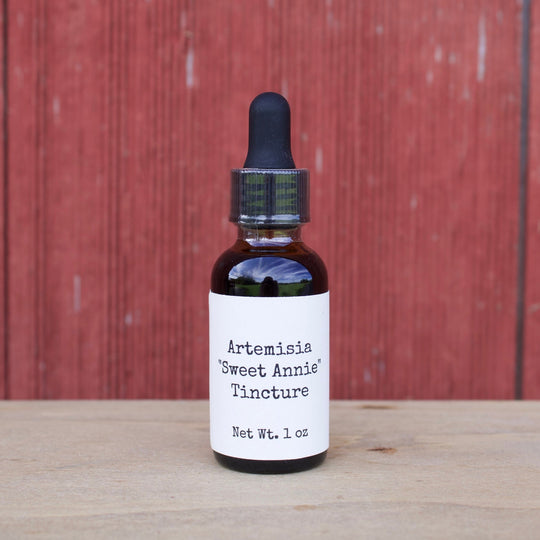 Bottle of Artemisia Sweet Annie Tincture on a wooden surface with a red wooden background