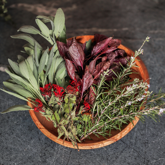 Herbal Preparations, Sunday October 12