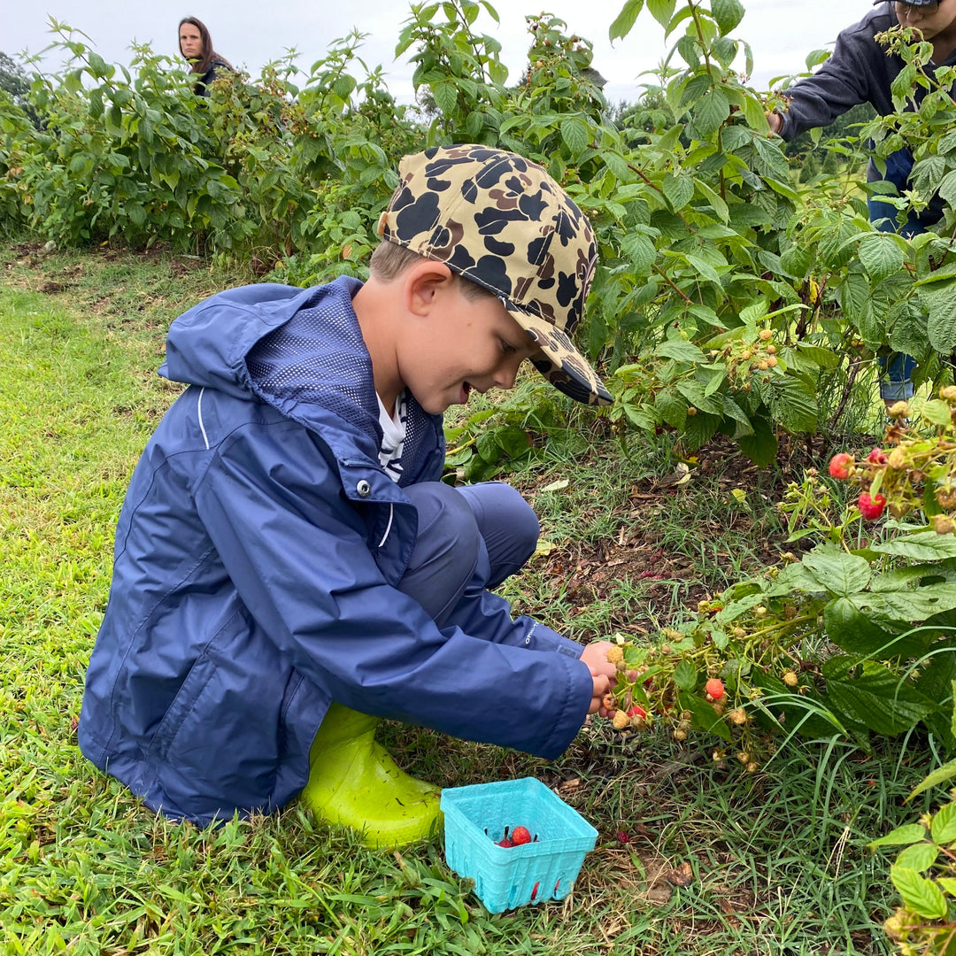 Child in a blue raincoat and camouflage cap picking berries in a field.