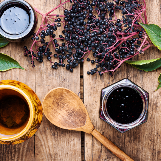 Elderberry Workshop Part 1, Saturday March 28