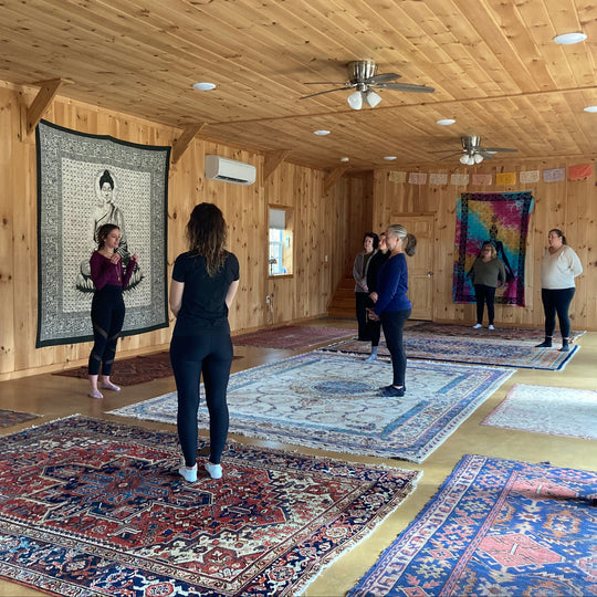 Fascia Workshop: Harness the Healing Power of Peak Light Season, Saturday June 27