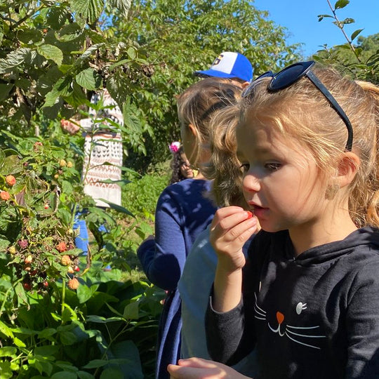 Guided Pick Your Own Berries, Sunday July 13
