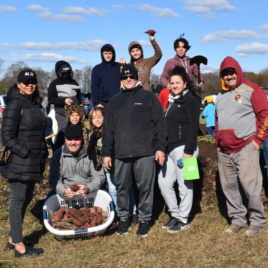 Group of people outdoors in a field with a person holding a basket of potatoes.