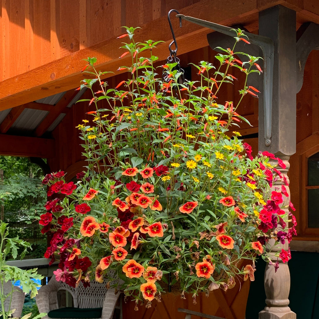 Colorful hanging basket of flowers on a porch with a table and chairs.