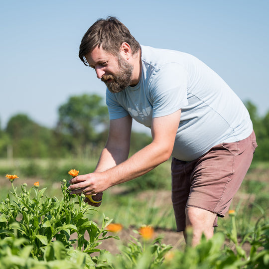 Herbal Tea Workshop with Foraging, Sunday July 27