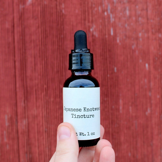 Japanese Knotweed Tincture