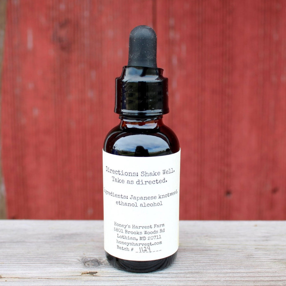 Japanese Knotweed Tincture