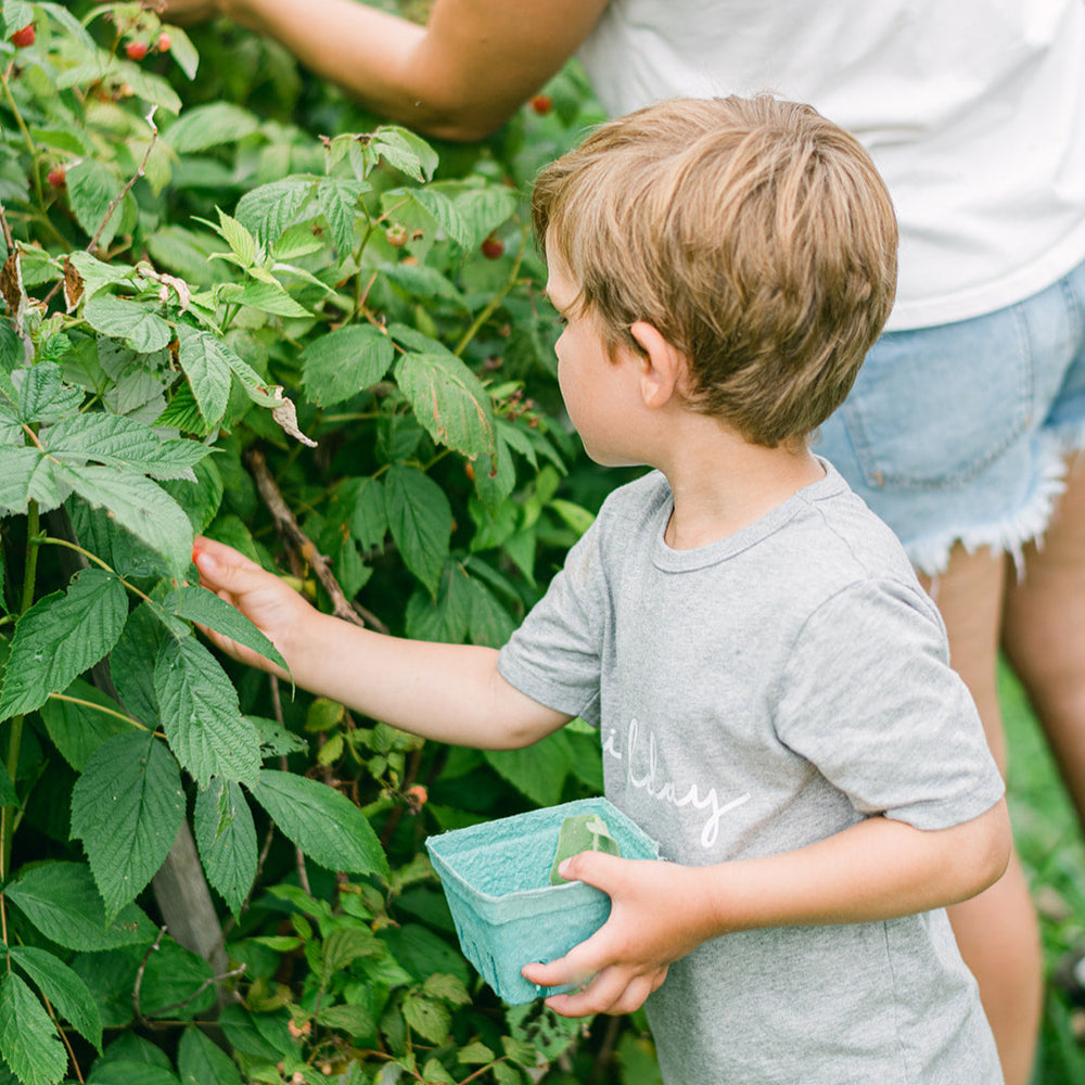 Guided Pick Your Own Berries, Sunday July 27