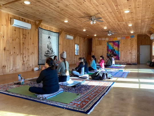 Gentle Yoga with Breathwork and Meditation, Saturday November 21
