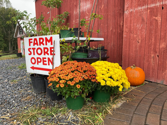 A Sweet Halloween Treat at Honey's Harvest Farm, Saturday October 31