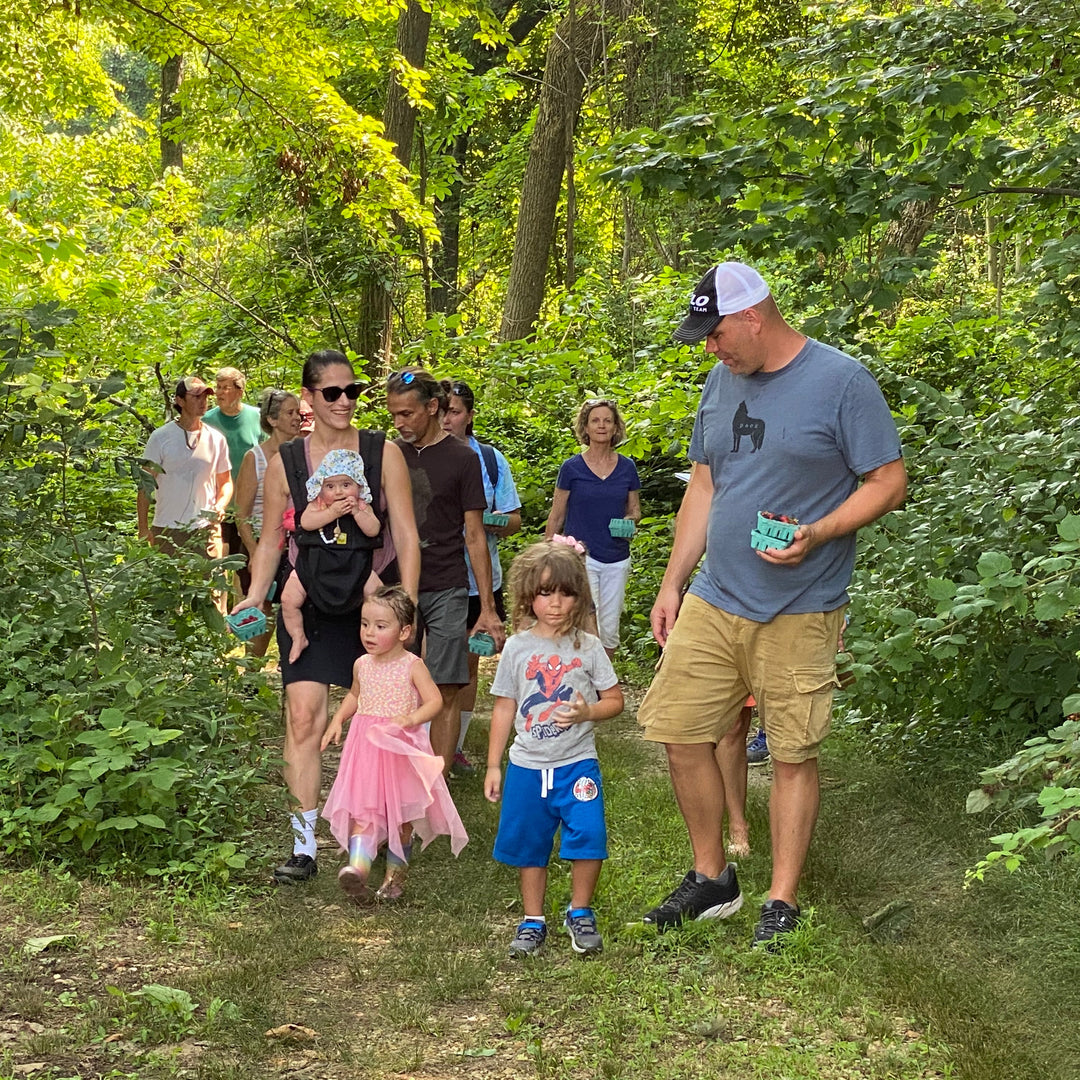 Group of people, including children, walking on a trail through a forest.