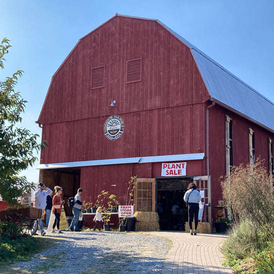 Red barn with a plant sale sign on a sunny day