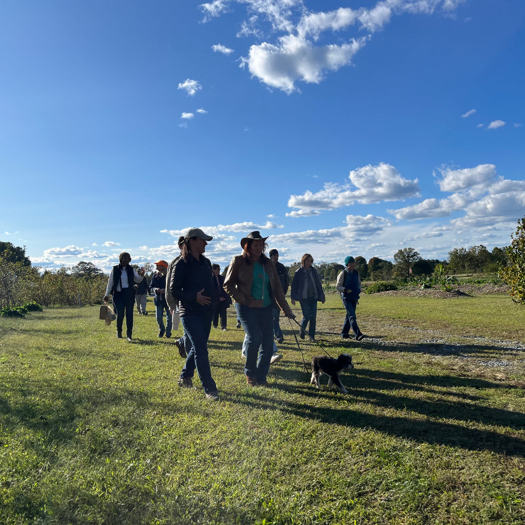 Autumn Abundance Farm Tour, Sunday October 4