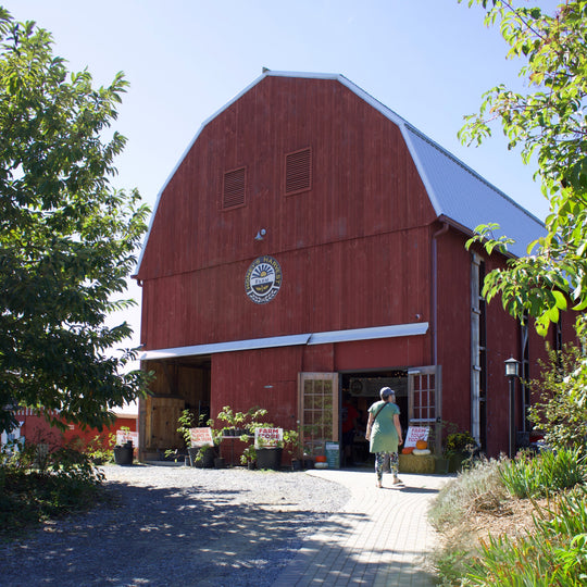 Red barn with a white roof, surrounded by trees and plants on a sunny day.