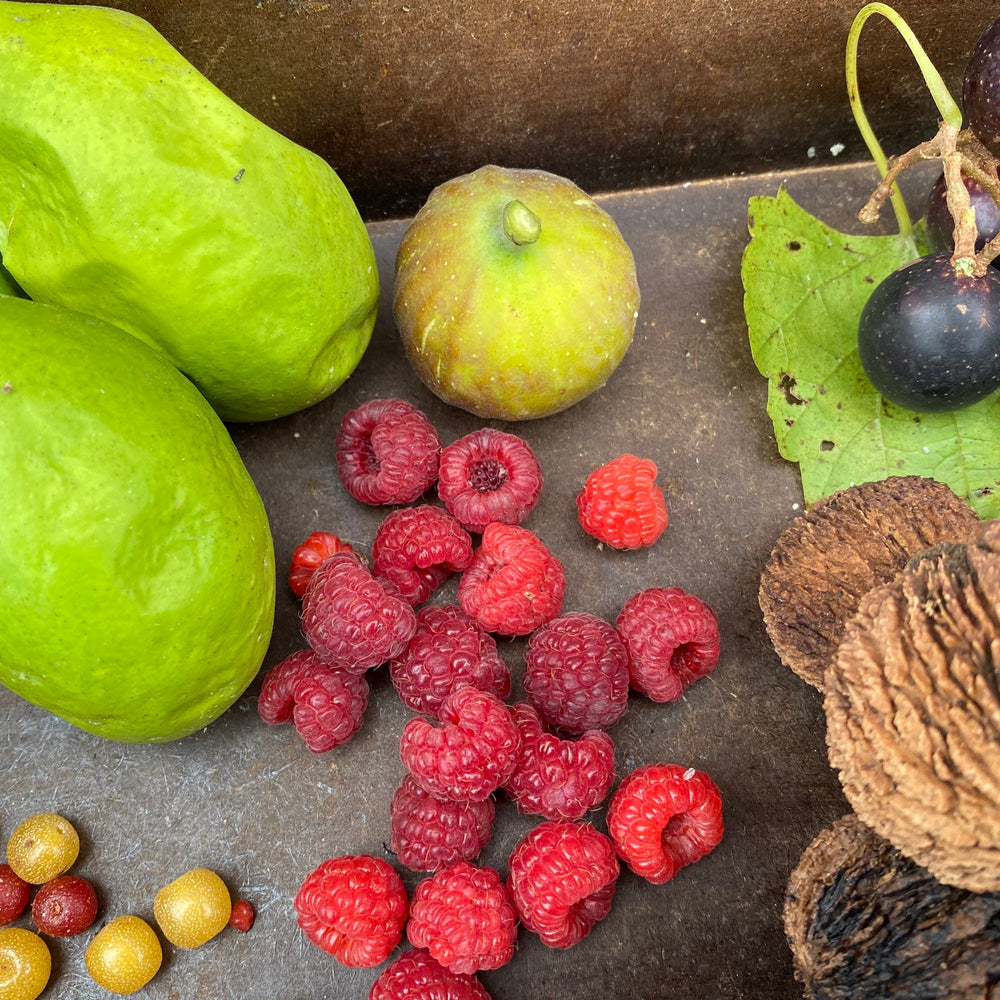 A styled flat-lay of various fruits on a dark rustic surface, including passionfruit, a fig, red raspberries, beach plums, autumn olives, and walnuts.