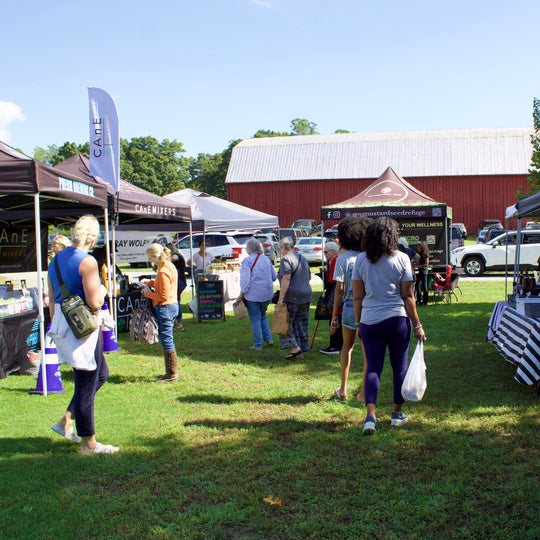 Outdoor event with people walking around and vendors under tents on a grassy field.