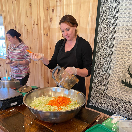 Beginner Fermentation Class, Saturday January 17