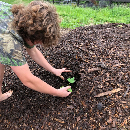 Sweet Potato Workshop Bundle