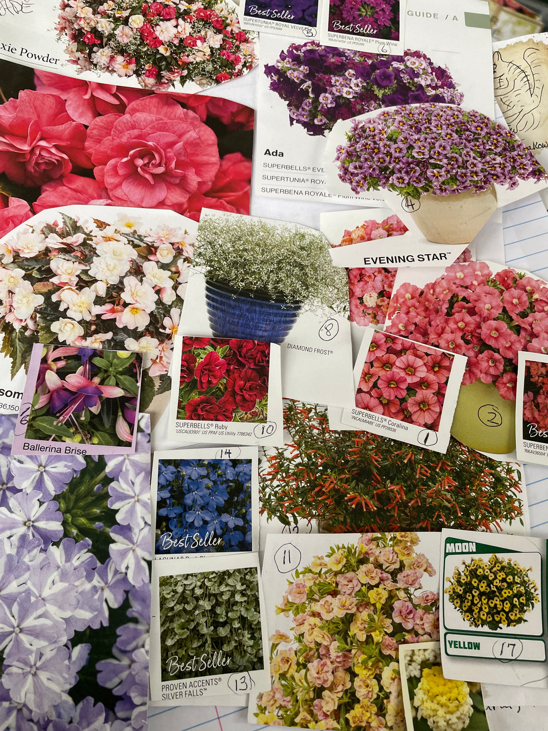 Hanging Basket Planter Workshop, Saturday May 30