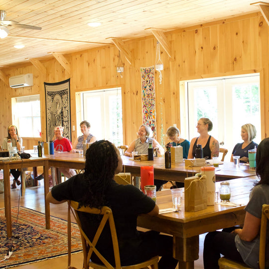 Group of people sitting around a wooden table in a room with wooden walls and large windows.