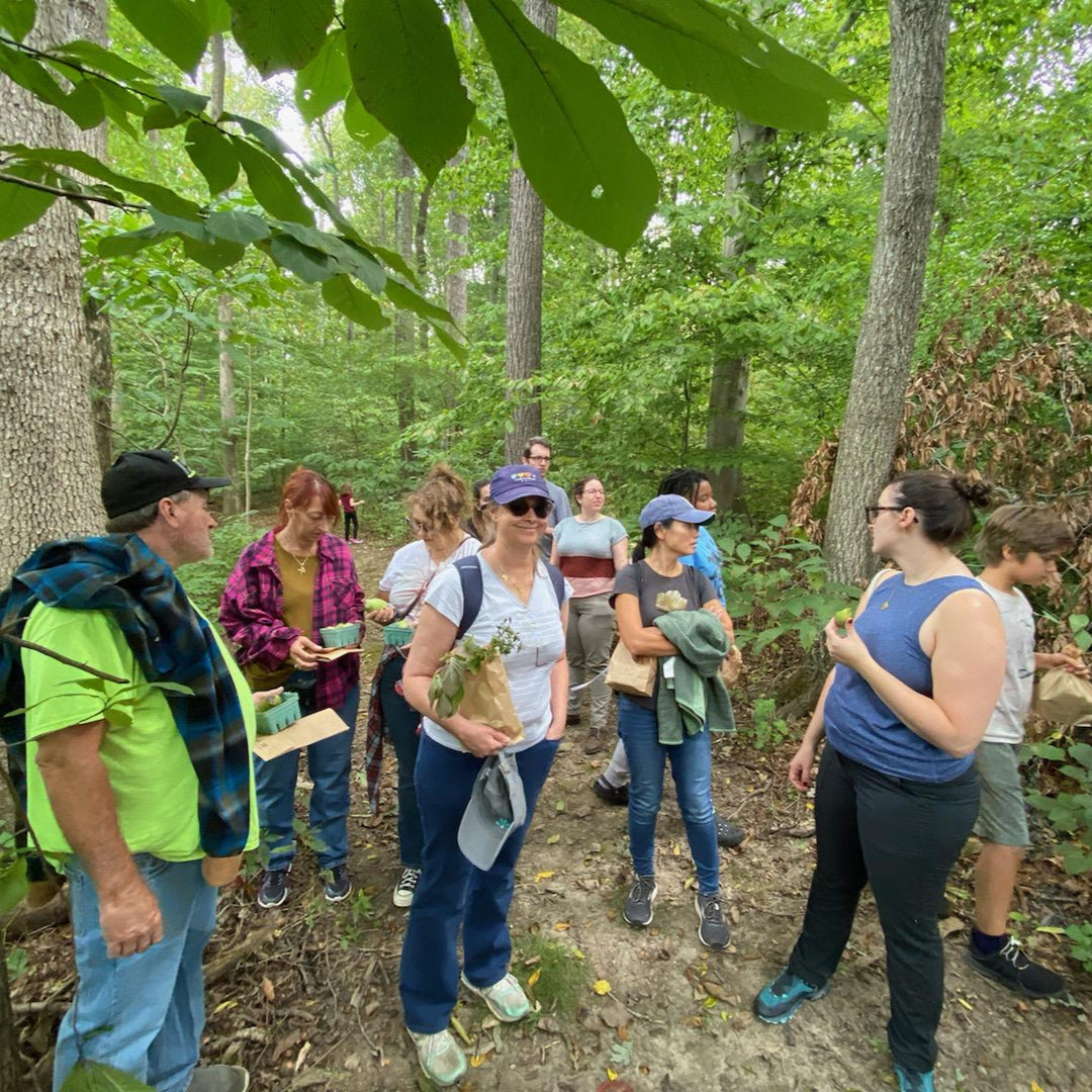 Group of people on a nature walk in a forest