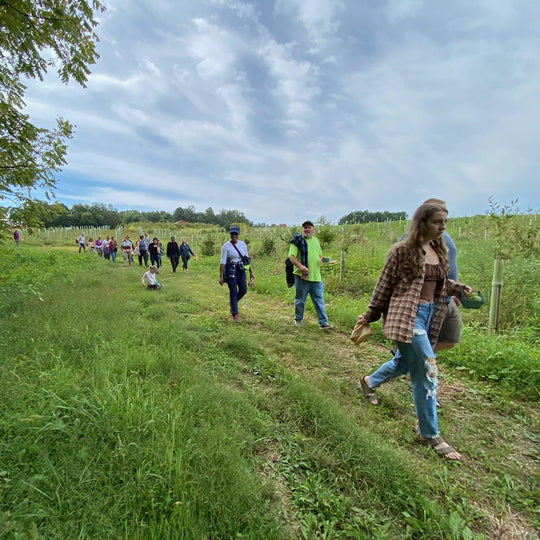 Group of people walking along a grassy path with trees and a cloudy sky in the background.