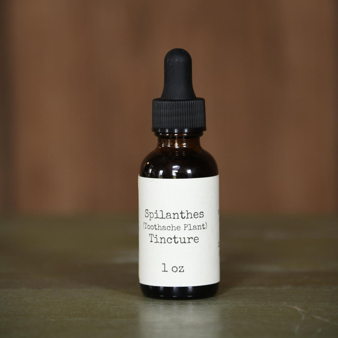 Spilanthes (Toothache Plant) Tincture