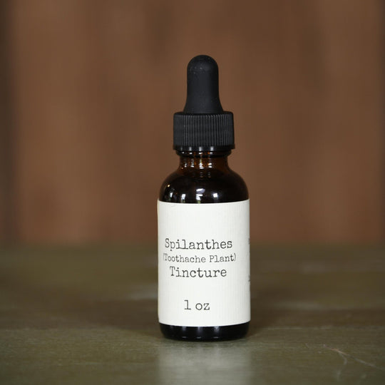 Spilanthes (Toothache Plant) Tincture
