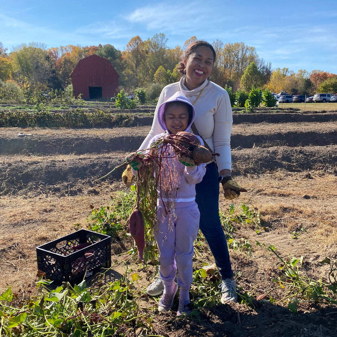 Two people in a field holding harvested vegetables with a barn and cars in the background.