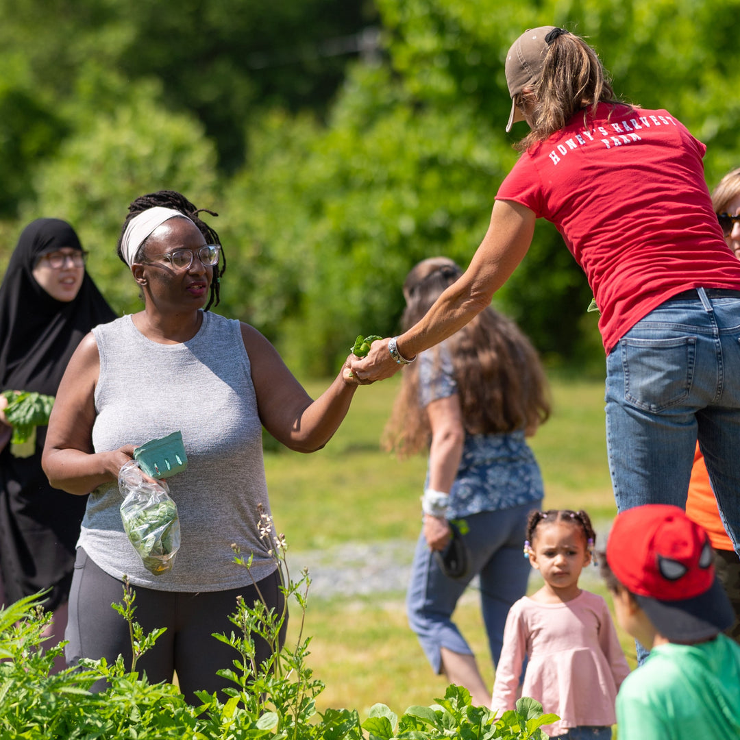 Berries and Greens Farm Tour, Sunday June 7