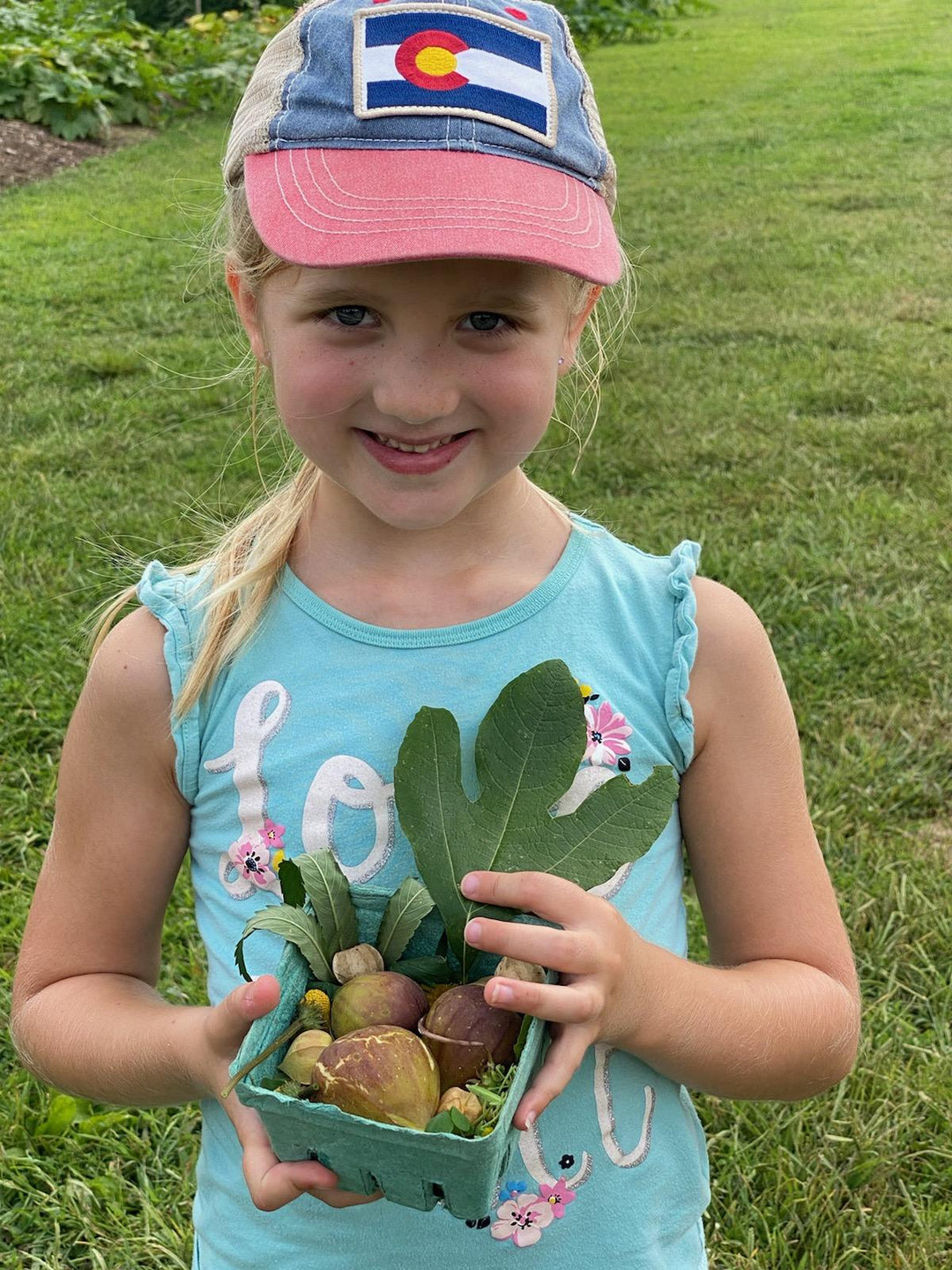Guided Fig Foraging on the Farm, Sunday September 21