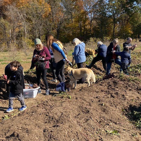 Group of people and a dog working together in an outdoor setting with trees and open space.